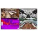 Pack Simrad Simrad NSS 4 - 16 + Radar Halo20+