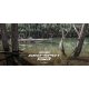 Motor de posicionamiento Watersnake Geo-Spot GPS 12V 65 lbs y eje de 72" (183cm)