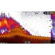 Lowrance Elite FS 12 con Transductor 50/200 600w. CHIRP