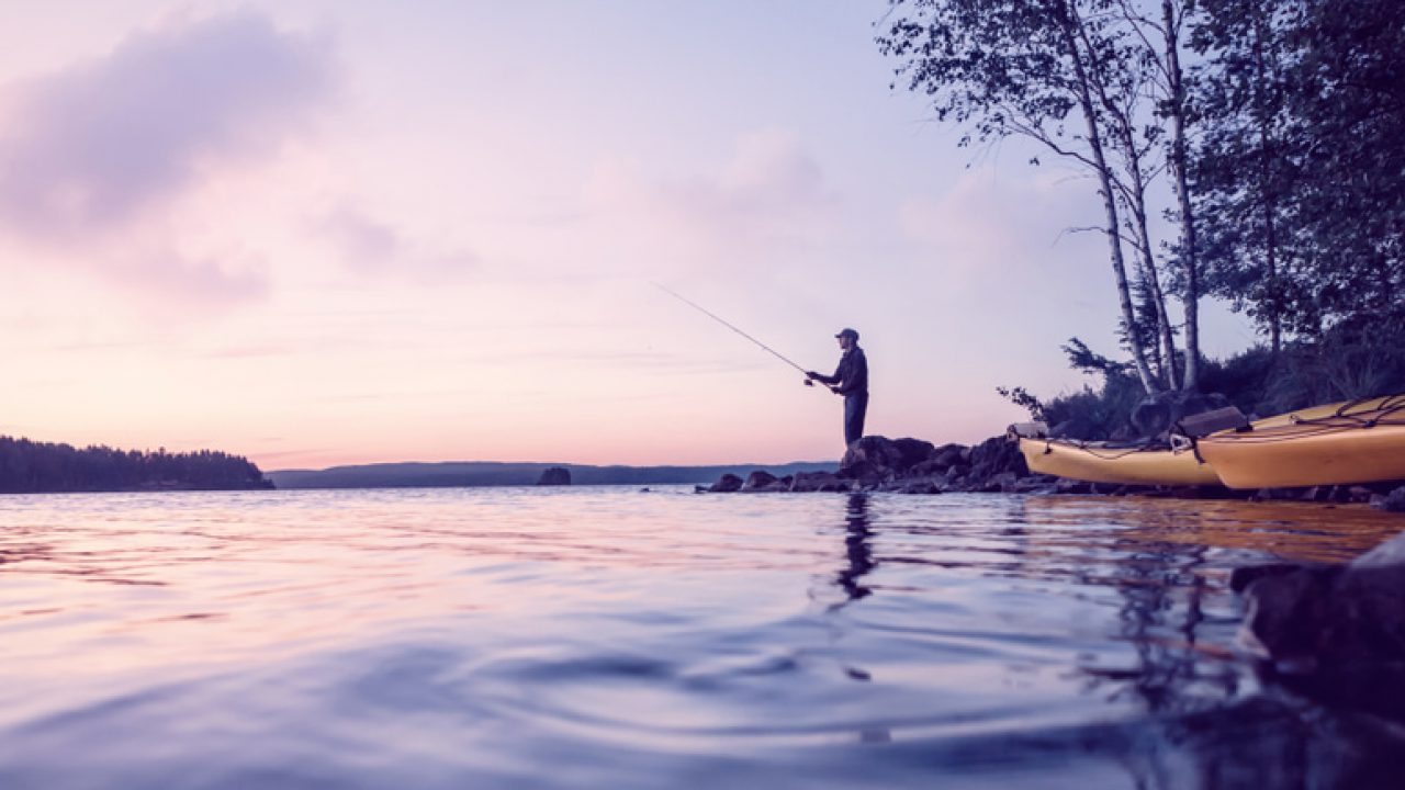 Descubre los mejores Trucos y consejos para la Pesca de Verano