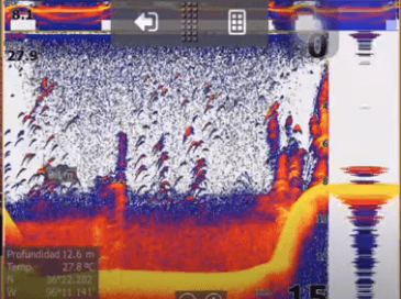Así se ven los arcos de peces en una sonda de pesca Lowrance