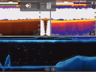 Modo multipantalla, dos con ángulos de frecuencia diferentes y otra con FishReveal
