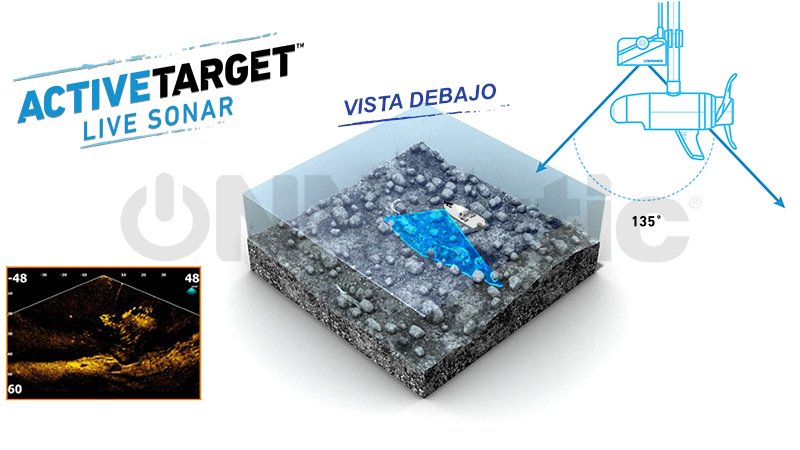 tipos de vista active target debajo