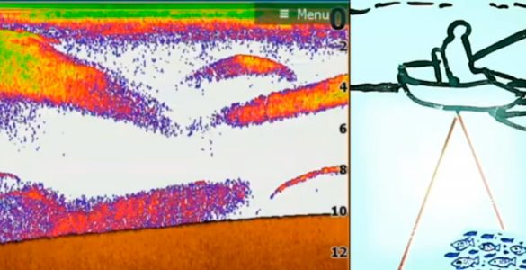 como-interpretar-las-imagenes-de-una-sonda-de-pesca