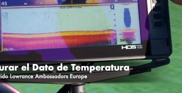 configurar dato temperatura sonda lowrance