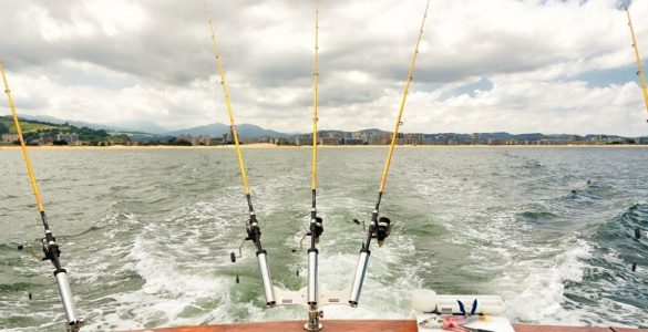 este verano regalate unos caneros y disfruta de la pesca de fondo