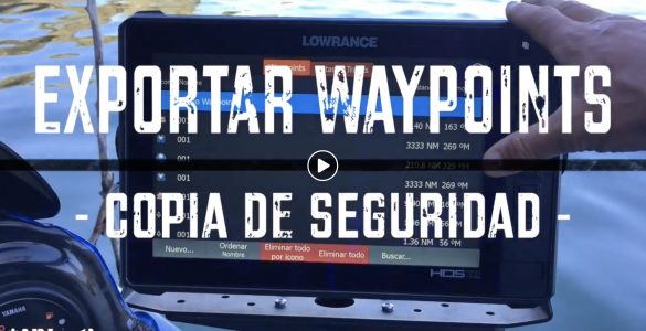 Como exportar los Waypoints para tener una copia de seguridad o importar a otra unidad en Lowrance o Simrad