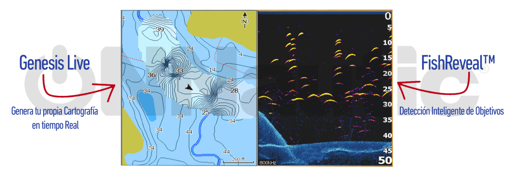 Funciones Genesis Live y FishReveal de Lowrance para cartografía y detección de objetivos en la sonda