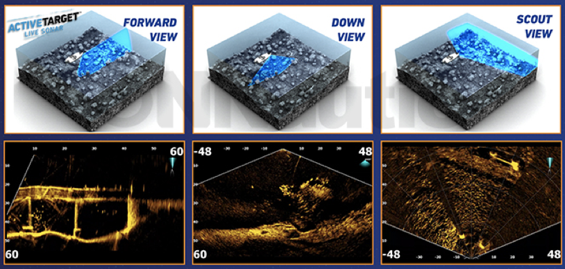 Lowrance Active Target, for a live view of what's happening under the probe