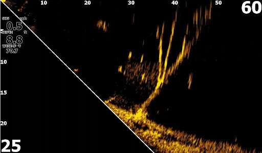 Captura de pantalla de la sonda Lowrance Eagle Eye 9 mostrando la vista Forward en tiempo real, con estructuras sumergidas y actividad de peces por delante de la embarcación.