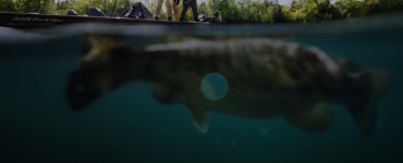 Pescadores en una embarcación sobre un gran pez visible bajo el agua, imagen de portada que ilustra el objetivo de la sonda Lowrance Elite FS 9 Black Edition.