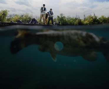 Pescadores en una embarcación sobre un gran pez visible bajo el agua, imagen de portada que ilustra el objetivo de la sonda Lowrance Elite FS 9 Black Edition.