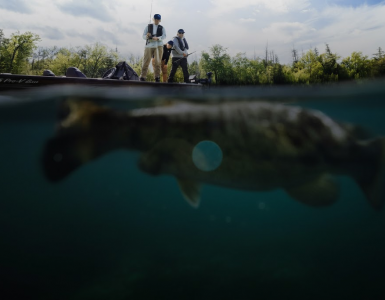 Pescadores en una embarcación sobre un gran pez visible bajo el agua, imagen de portada que ilustra el objetivo de la sonda Lowrance Elite FS 9 Black Edition.