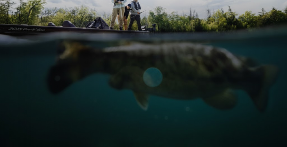 Pescadores en una embarcación sobre un gran pez visible bajo el agua, imagen de portada que ilustra el objetivo de la sonda Lowrance Elite FS 9 Black Edition.
