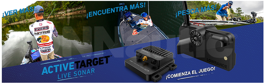 Active Target Lowrance